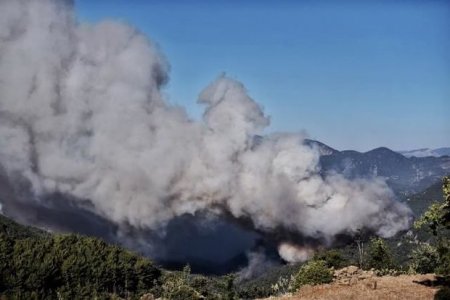 Türkiyədə dünəndən başlayan meşə yanğını davam edir - FOTO