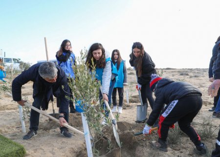 Leyla Əliyeva bir milyon ağac əkilən “Yaşıl Marafon”a yekun vurdu - FOTO