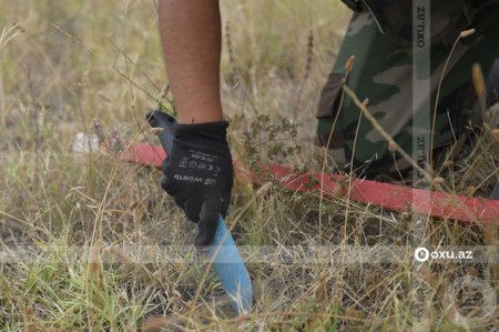 Nazirlər Kabineti rəsmisi: “Bu il 40 min hektar ərazi minadan təmizlənəcək”